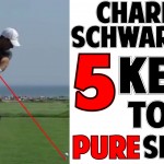 Charl Schwartzel Golf Swing Analysis