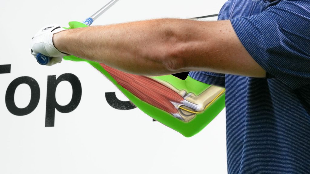 How To Use The Right Arm On The Downswing • Top Speed Golf