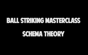 Schema Theory Ball Striking MasterClass