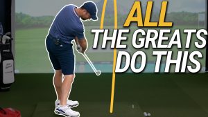 The Easiest Way To Become a Great Ball Striker