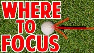 Where Should Your Eyes Focus In The Golf Swing