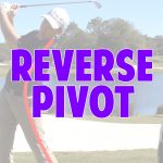 reverse pivot
