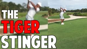 How to Hit the Tiger Stinger in Crazy Detail